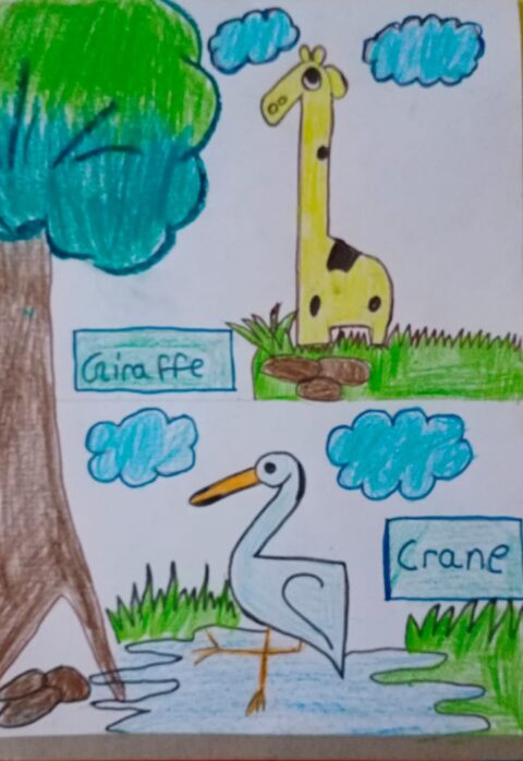 রং-বং-চং - Shohalia Nag